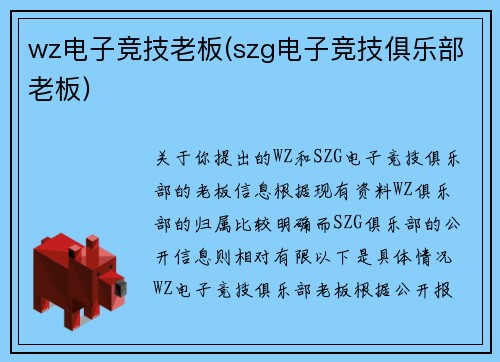 wz电子竞技老板(szg电子竞技俱乐部老板)