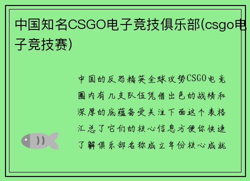中国知名CSGO电子竞技俱乐部(csgo电子竞技赛)